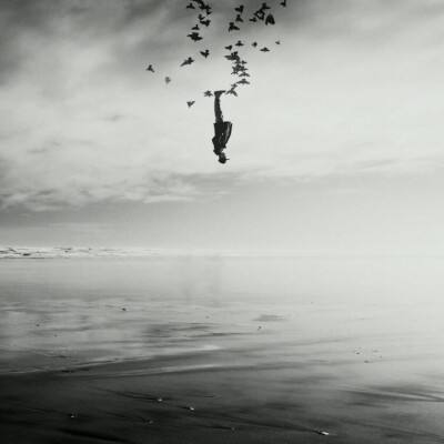 b体育手机在线登录